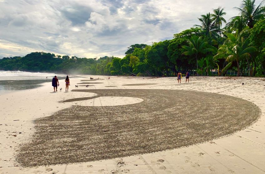 Costa Rica Rake Art