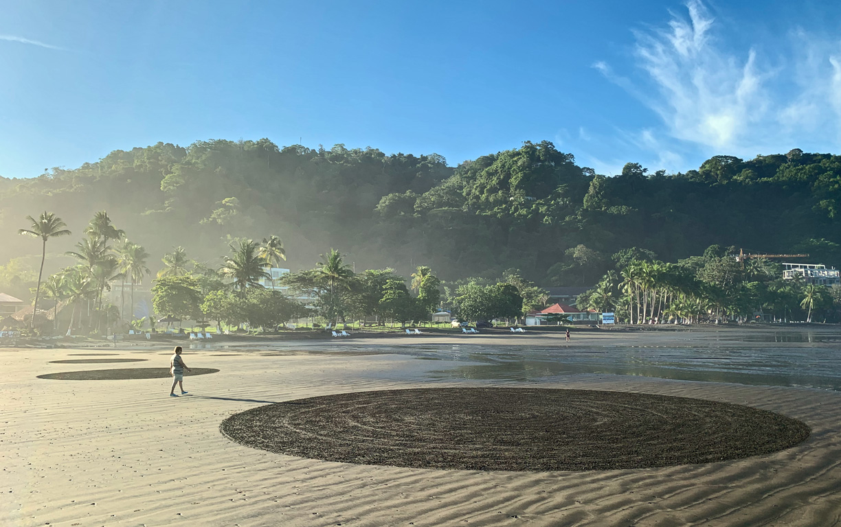 Jaco Beach Rake Art
