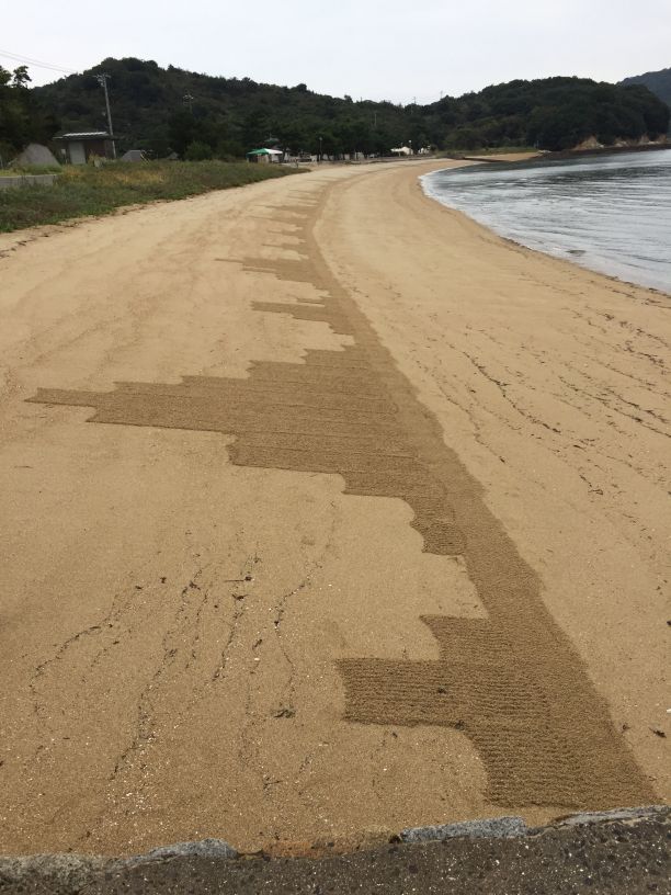 Cannon Beach Rake Art