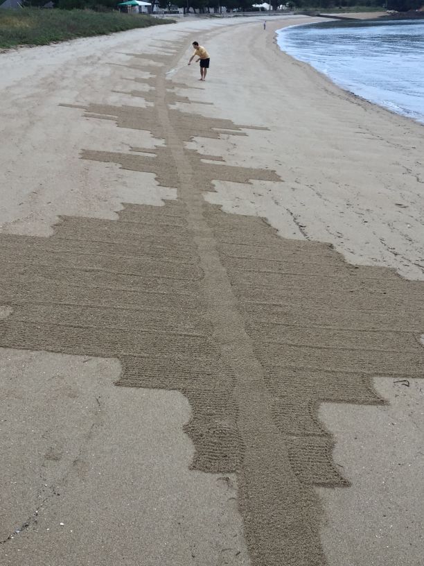 Cannon Beach Rake Art